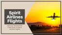 Spirit Airlines Baggage logo